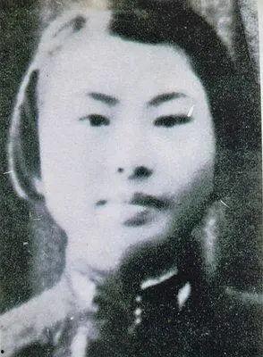 杨展最新爆料新闻视频,揭秘事件背后惊人真相